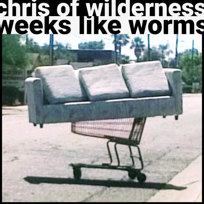 Chris of Wilderness - Weeks Like Worms album artwork