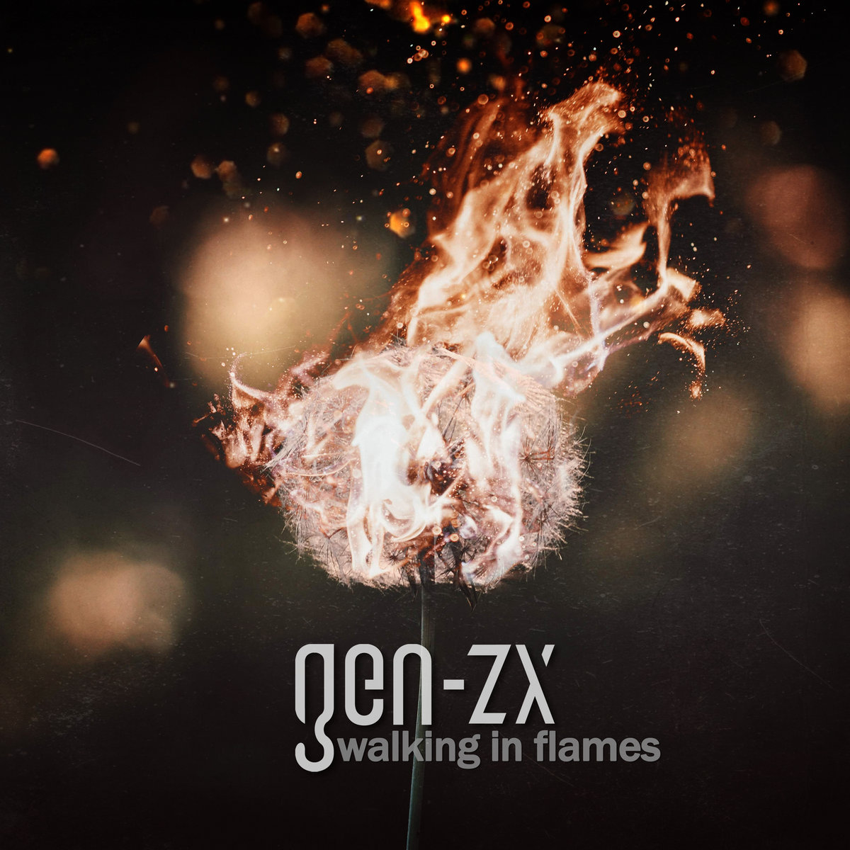 Walking In Flames | gen-zx | Infacted Recordings