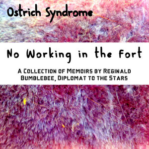 No Working in the Fort: A Collection of Memoirs by Reginald Bumblebee, Diplomat to the Stars cover