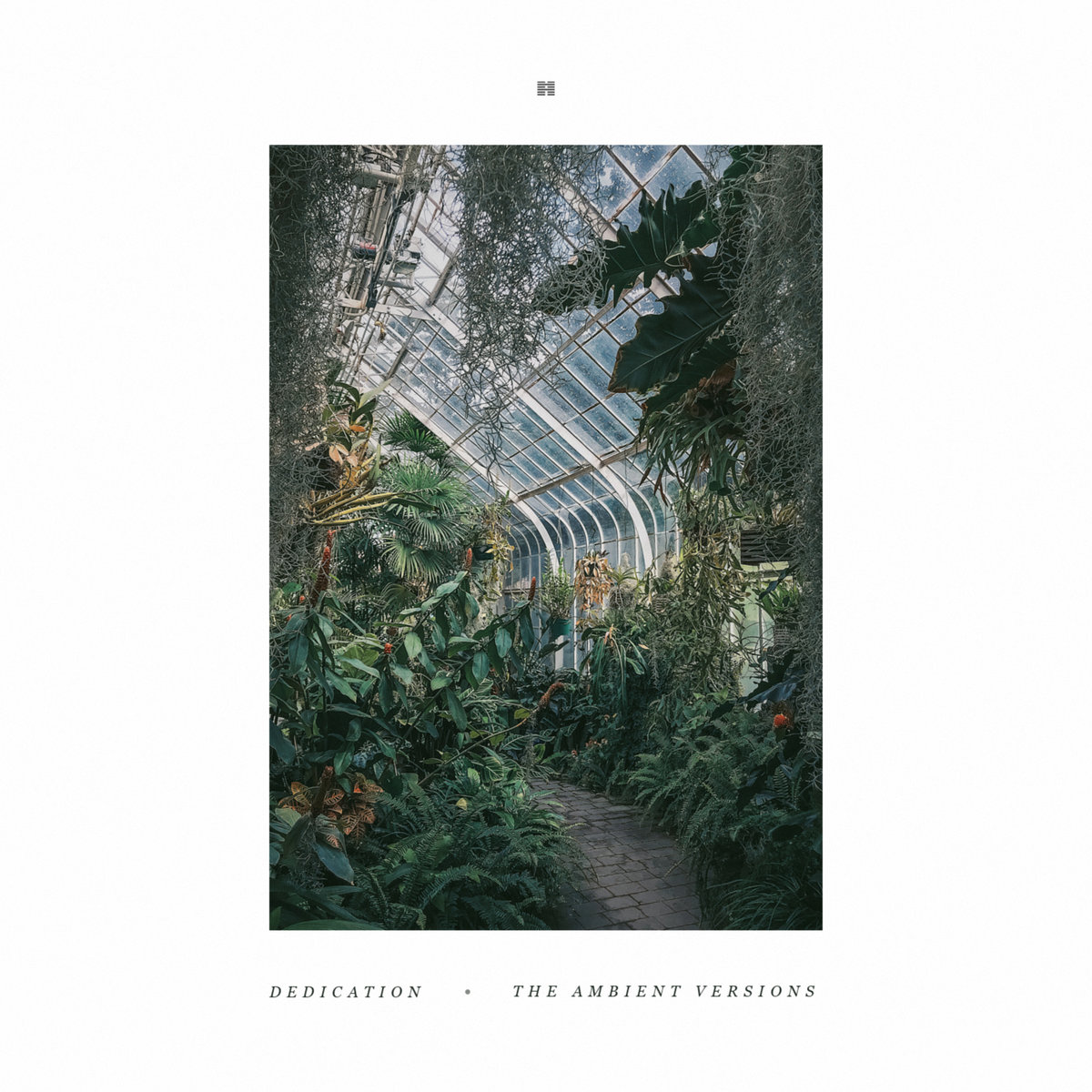 Dedication: The Ambient Versions | Daniel Rafn