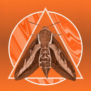 Moth cover