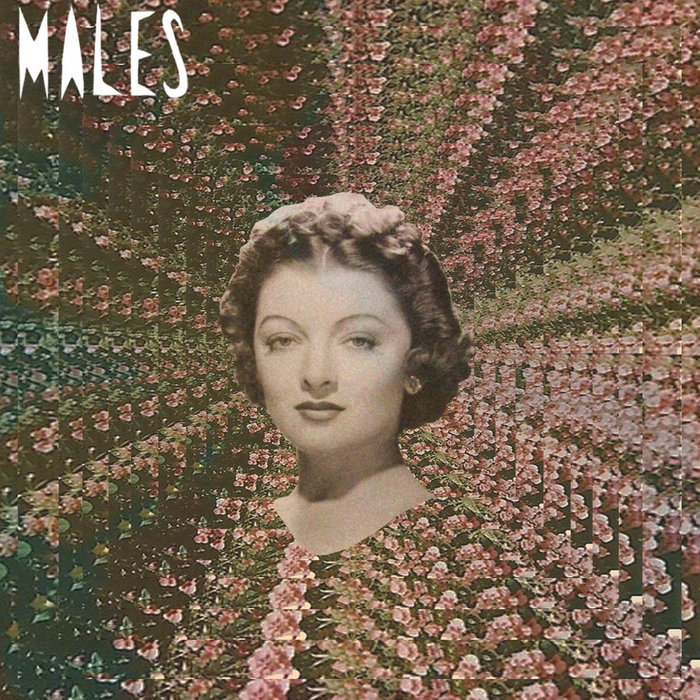 Run Run Run Malesmalesmales Males