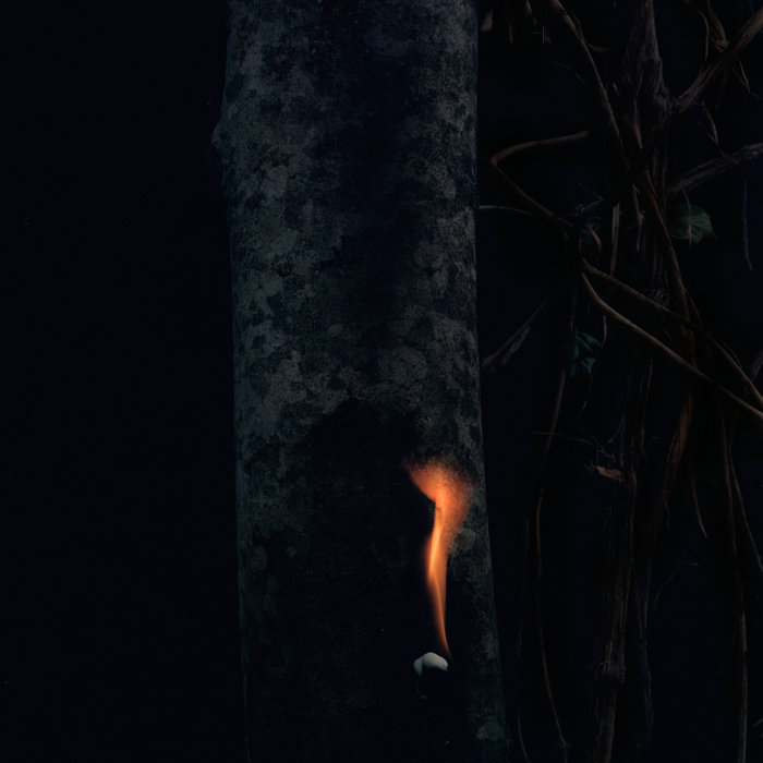 DeliciousTaylormade The RAD ハカランダCask46 ドメーヌ・ド・ラ・ガランス レ ザルミエール｜ワイン通販の世界