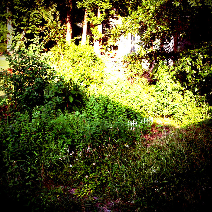 Compost Dub Coppice Halifax