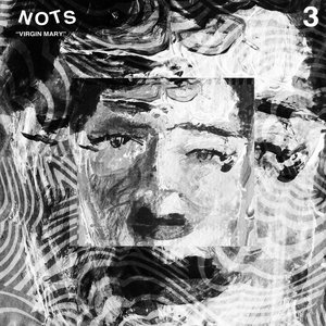 Nots — "Virgin Mary" 7"