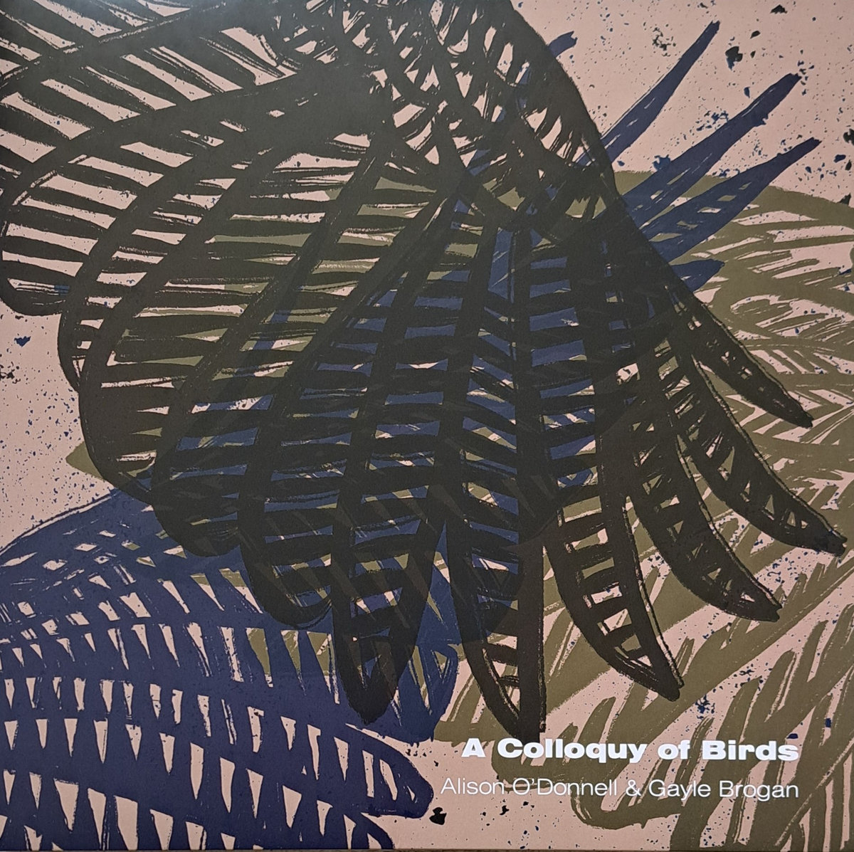 A Colloquy of Birds | Alison O'Donnell and Gayle Brogan | Sonido