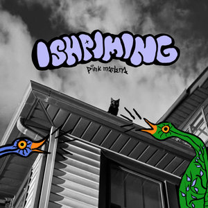 ISHPIMING cover