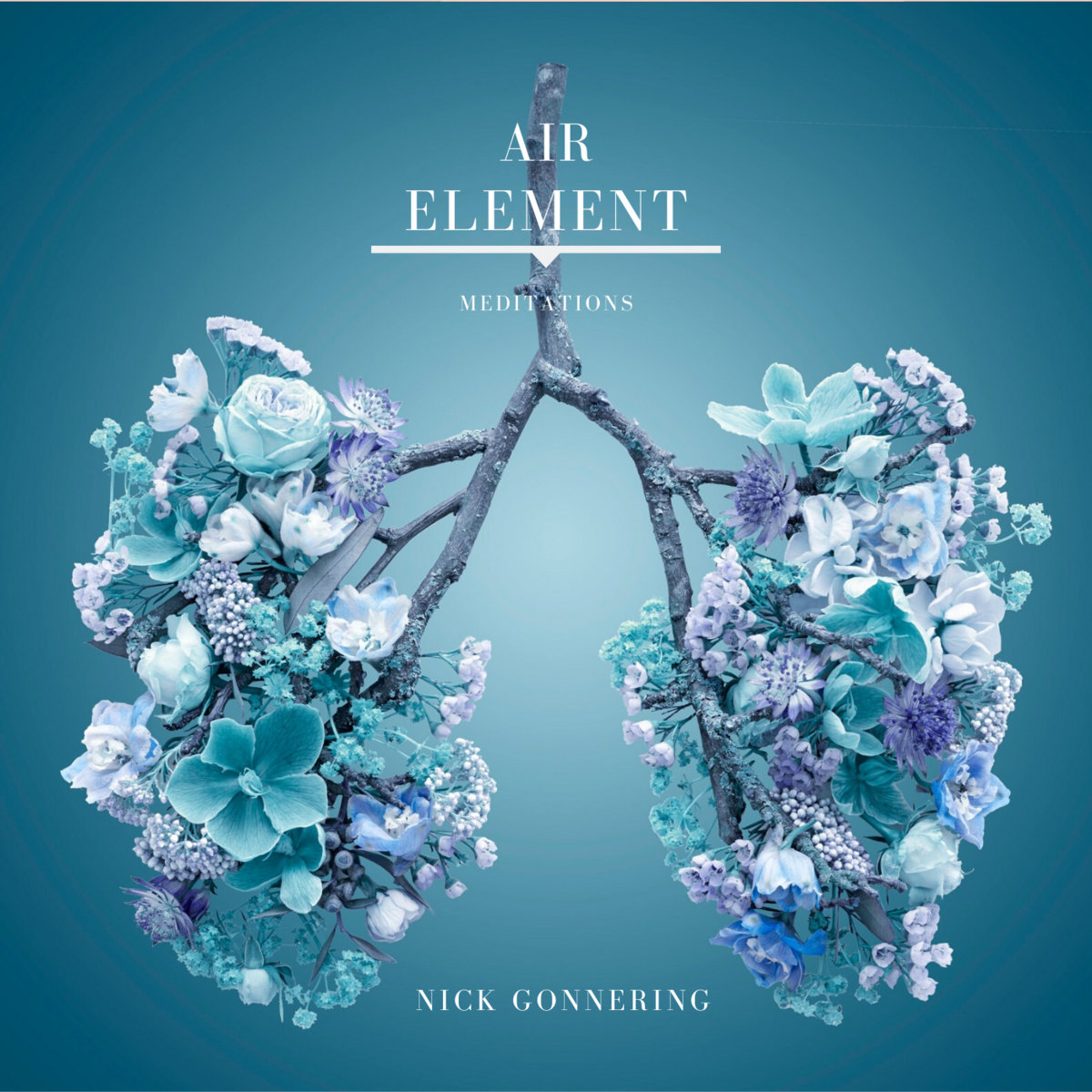 Air Element Meditation | Nick Gonnering