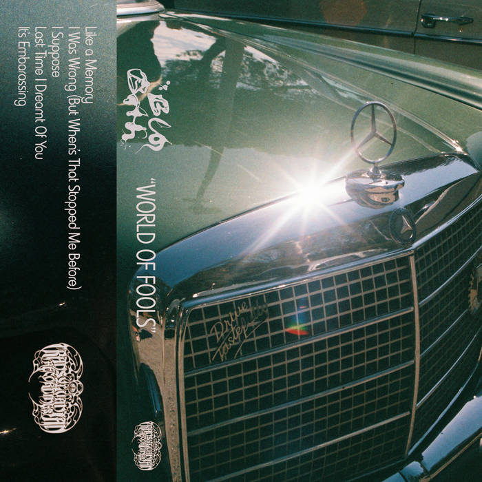 BUG BATH - WORLD OF FOOLS | BUG BATH | Transylvanian Recordings