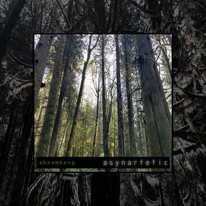 asynartetic cover