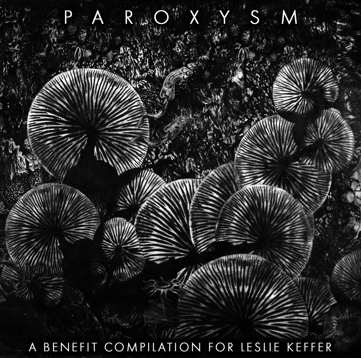 Paroxysm: A Benefit Compilation For Leslie Keffer