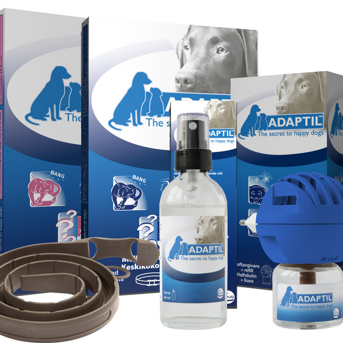 What is Adaptil? Adaptil Diffuser Review