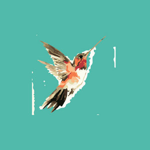 Hummingbird cover