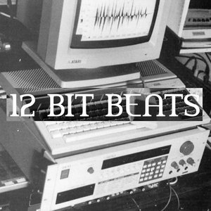 12 BIT BEATS Sample Pack cover