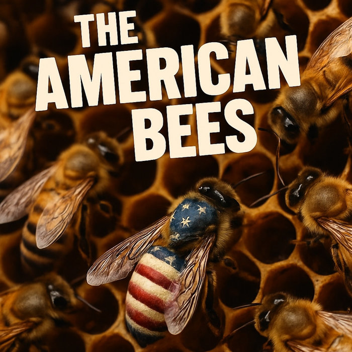 The American Bees | The American Bees | Pop Garden Radio