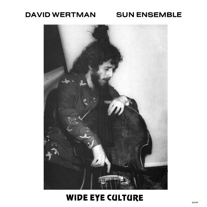 Wide Eye Culture | David Wertman