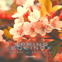 Energy of Activation - Spring Equinox cover art
