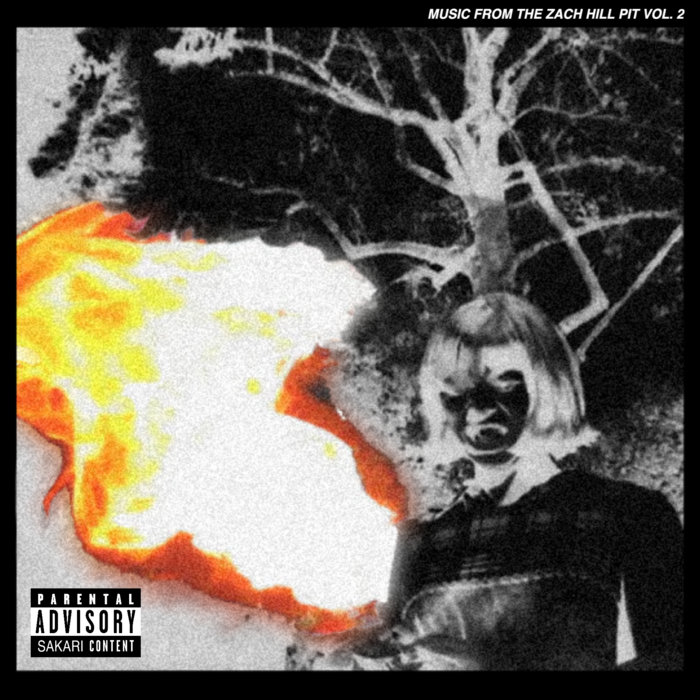 The Zacto Smile (Music From The Zach Hill Pit Vol. 2) | Various