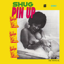 Shug - Pin Up (Ase Manual Remix) cover art