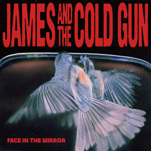 James And The Cold Gun — Face in the Mirror