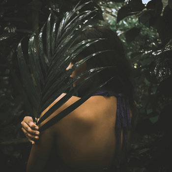 Album artwork for Areca Affair