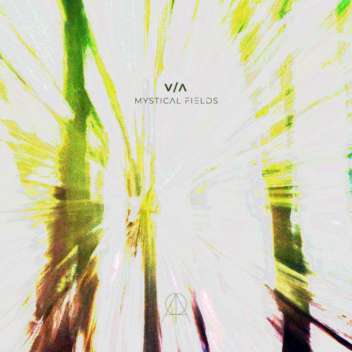 波LP Cykada morphosis AR025LP Astigmatic Records 未開封 /00260 AMR002A Mystical Fields, Pt. 1 | V/A | Aurora Mística Records
