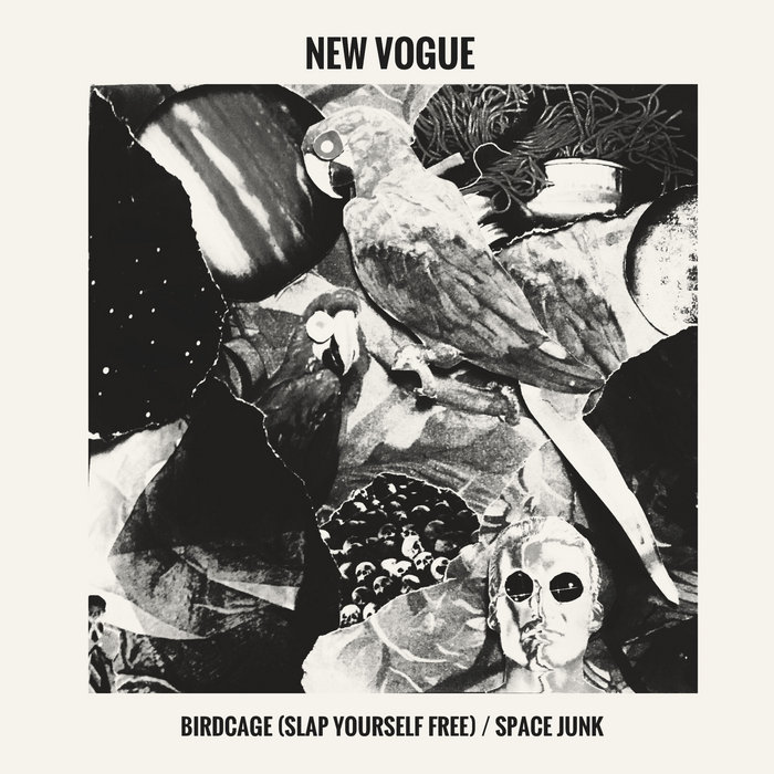 BIRDCAGE / SPACE JUNK (7inch available at Spazz Records) NEW VOGUE
