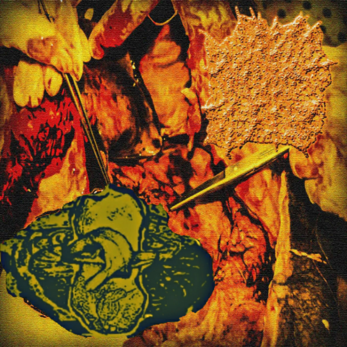 Cycles of Reproduction from Necrophagous Insects in a Cadaver Partially