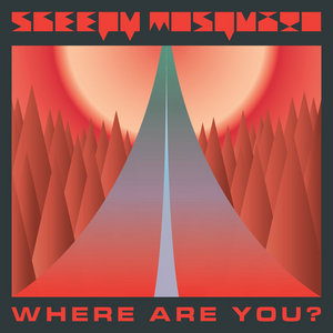 Where Are You?Sleepy Mosquito cover