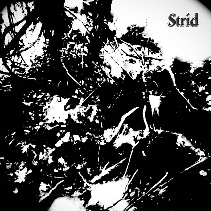 Strid – Strid Descent | Strid