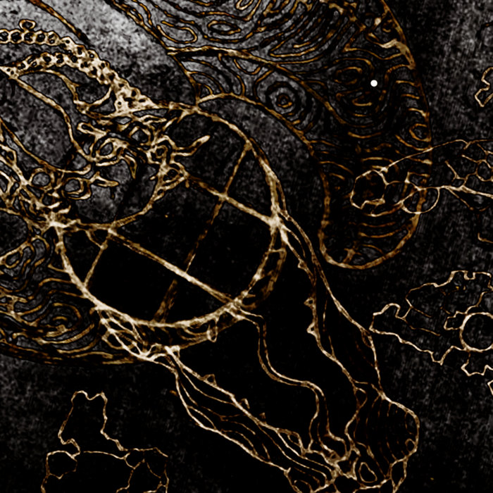 крылышкуя золотописьмом тончайших жил (2018-2019) | stropharia