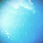 Ocean Lion II