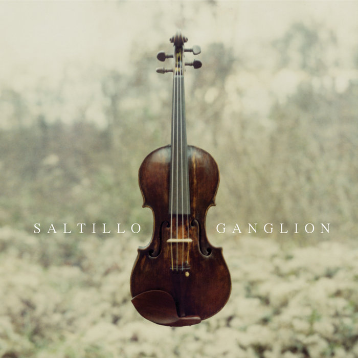 Ganglion | Saltillo