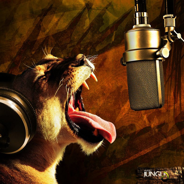 Microphone Assassin Danny Digital Music