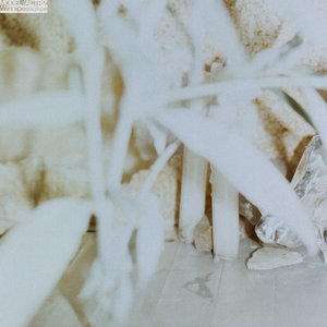 Model/Actriz — Winnipesaukee