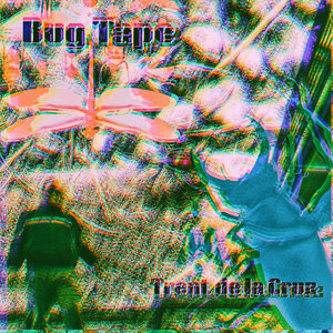 Bug Tape cover