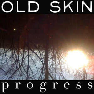 Progress cover