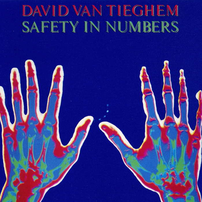 Safety In Numbers David Van Tieghem