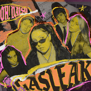 Gasleak cover