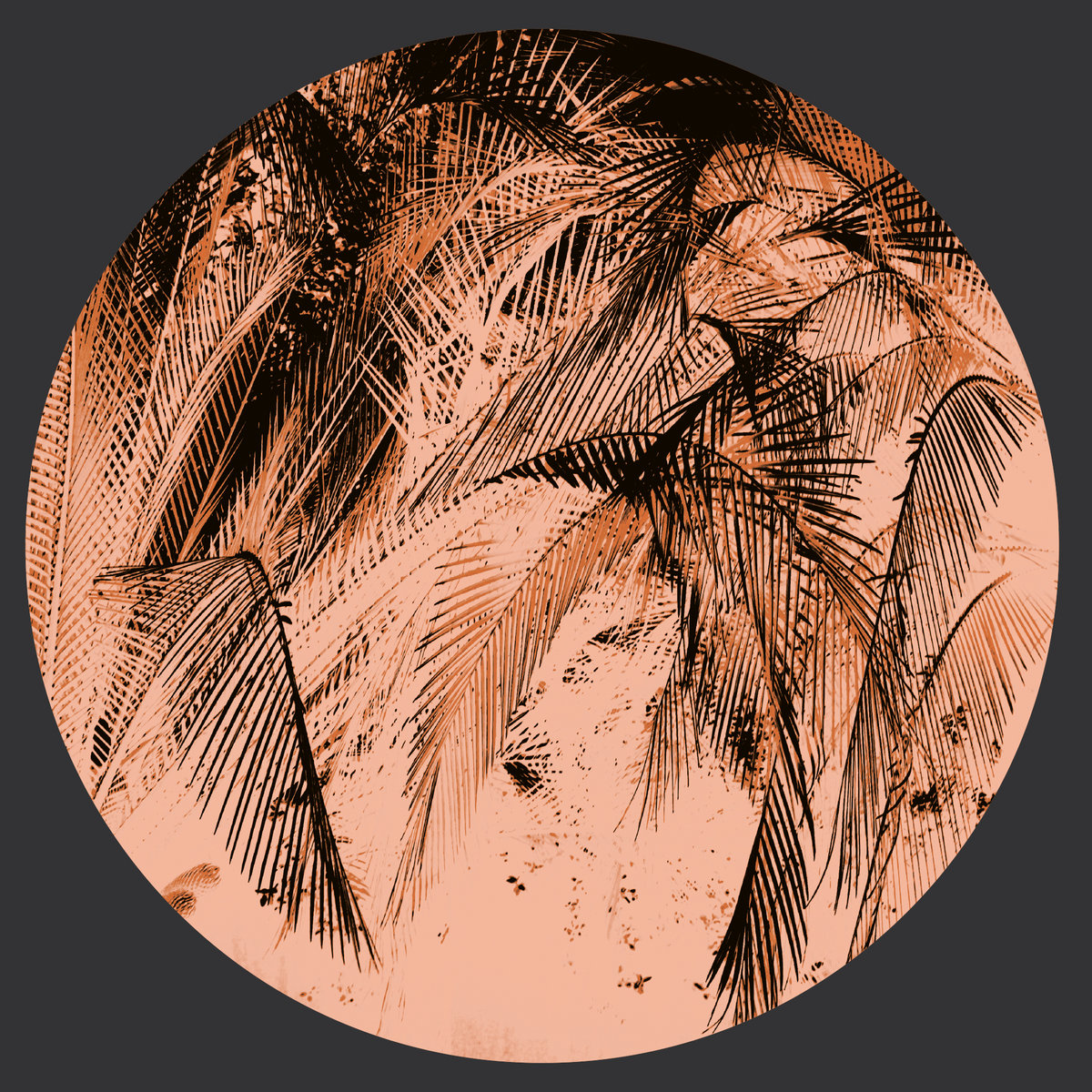 Camina o Revienta
                
                
                Julian Perez