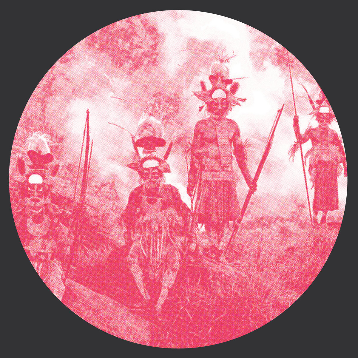 Lost Tribes
                
                
                D&S