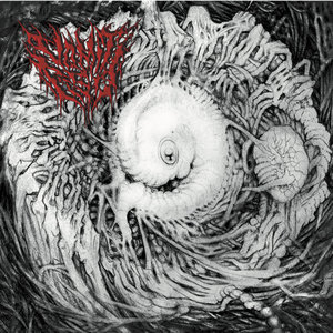 Deep Spawn cover