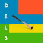 NEEDSHES - DSLS