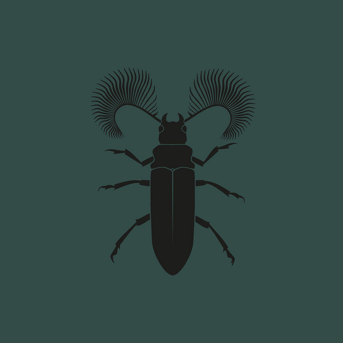 ZC016 - Featherhorned Beetle EP | Pozek | Zodiak Commune Records