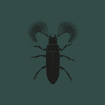 ZC016 - Featherhorned Beetle EP