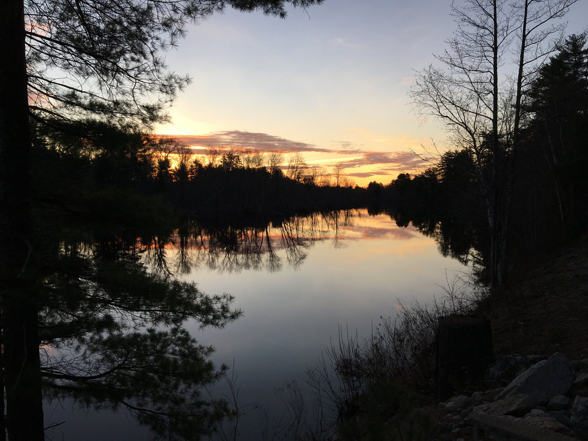 Isle au Haut David Nedwidek