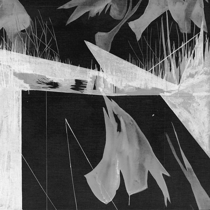 Subtropical Warren Schoenbright