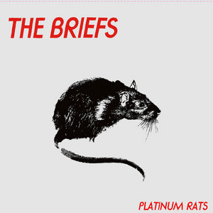 The Briefs — Platinum Rats