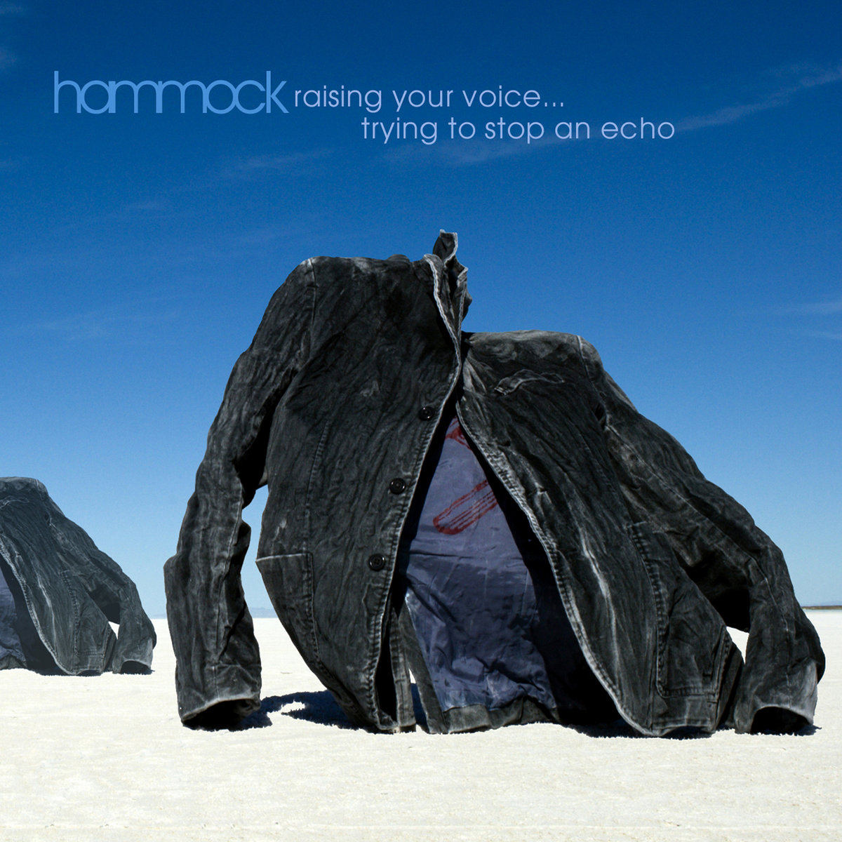 洋楽 THA VOICE - BOW YH HERD Raising Your VoiceTrying to Stop an Echo | Hammock