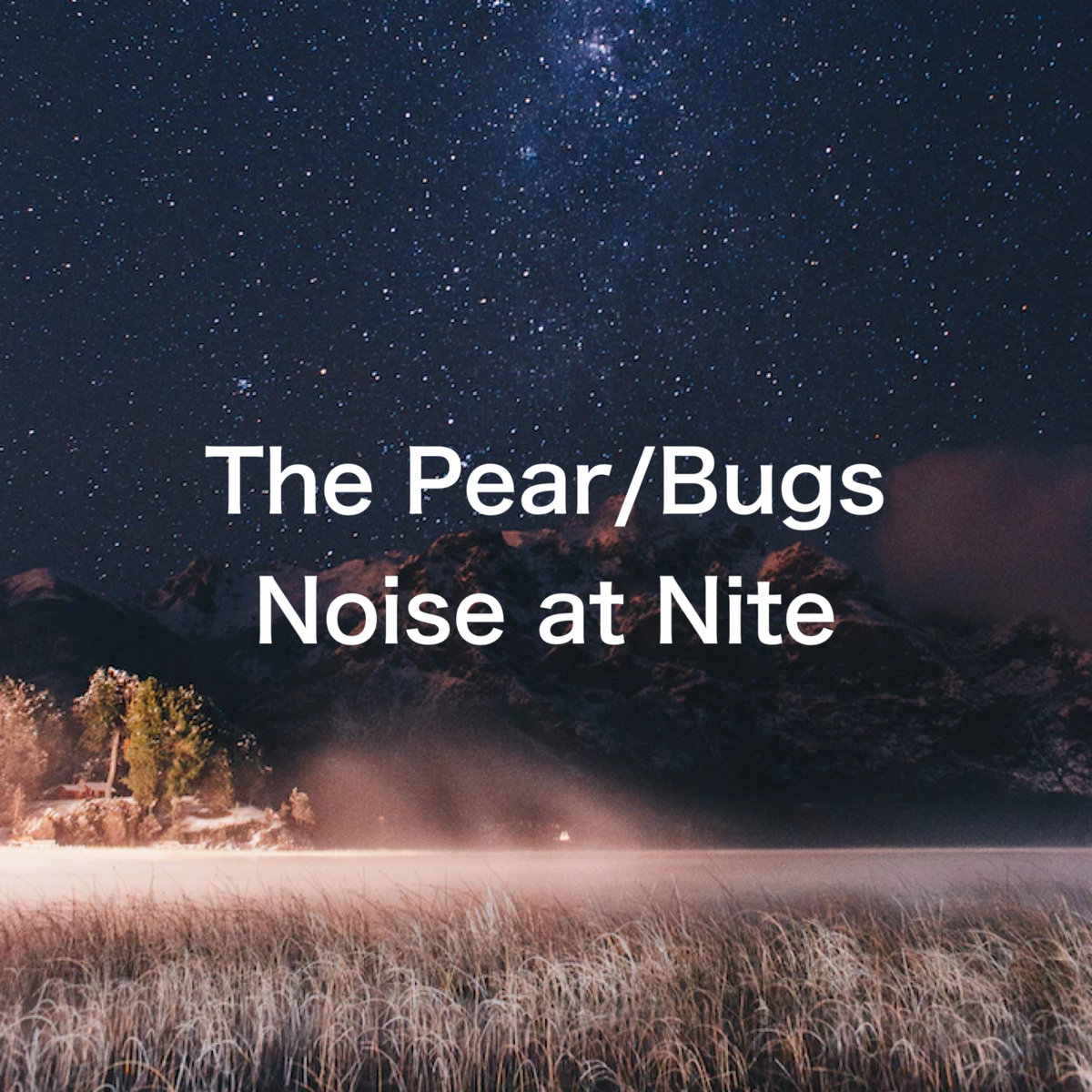 Bug Noise at Night The Pear